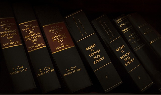 lawyer-attorney-law-judge-640x480-26551443.jpeg